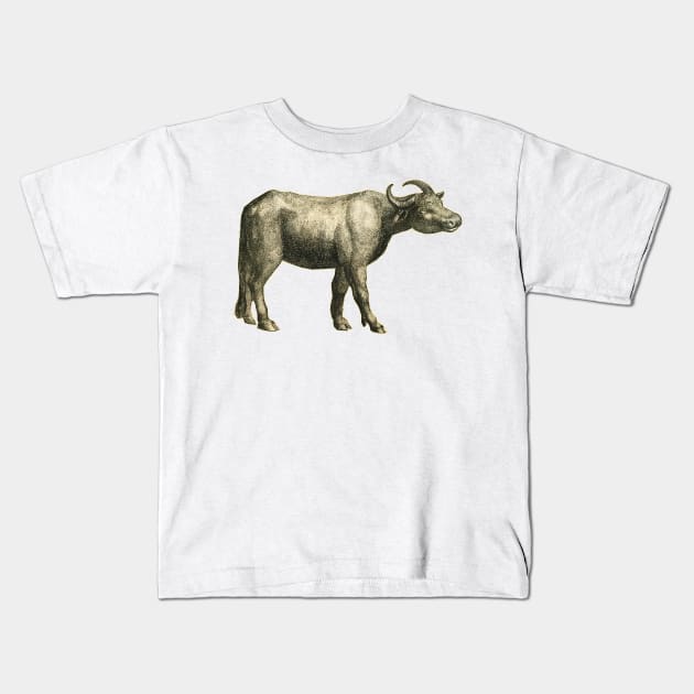 Vintage drawing Buffalo Kids T-Shirt by Marccelus